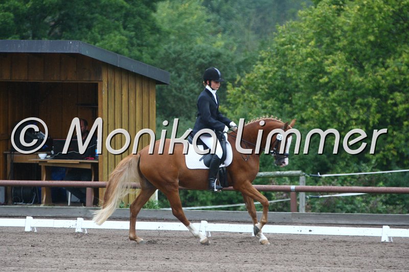 009M8284_Giglbergs Jaspis_Dressurpf A.JPG